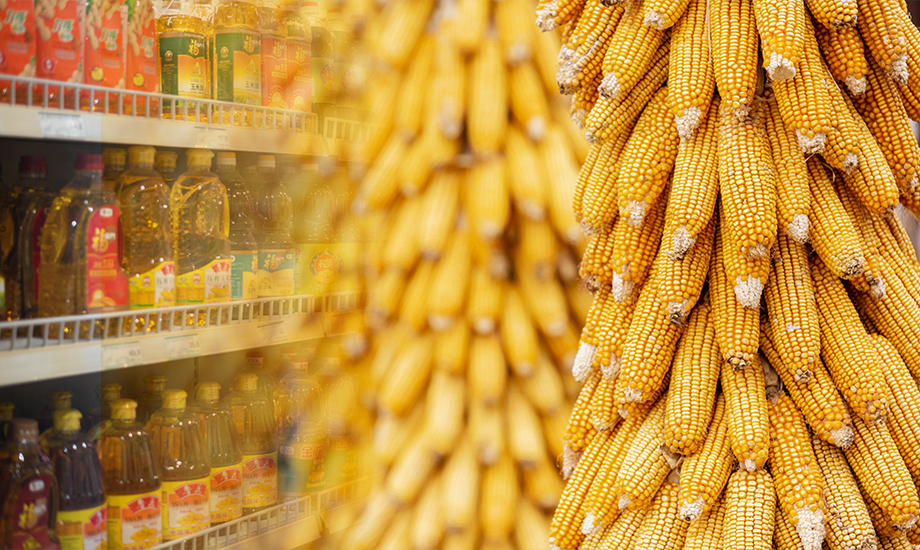 糧油應用前處理解決方案