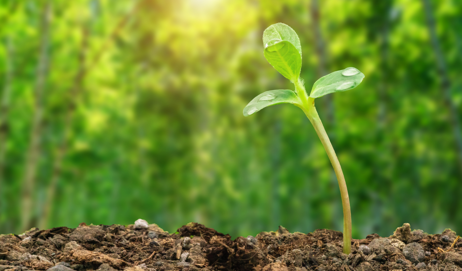 土壤樣品前處理整體解決方案