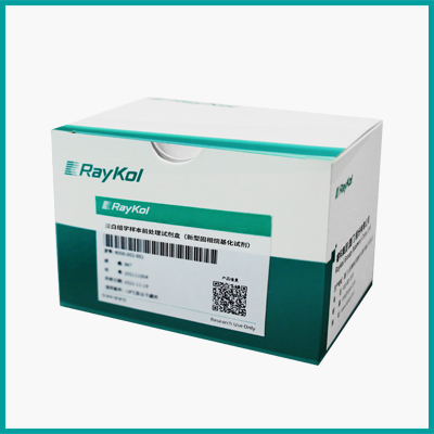 蛋白組學(xué)樣本前處理試劑盒（新型固相烷基化試劑）